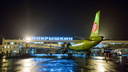 130 тысяч человек проголосовали за новое имя для новосибирского аэропорта