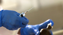 В Новосибирске зарегистрированы новые случаи менингококковой инфекции