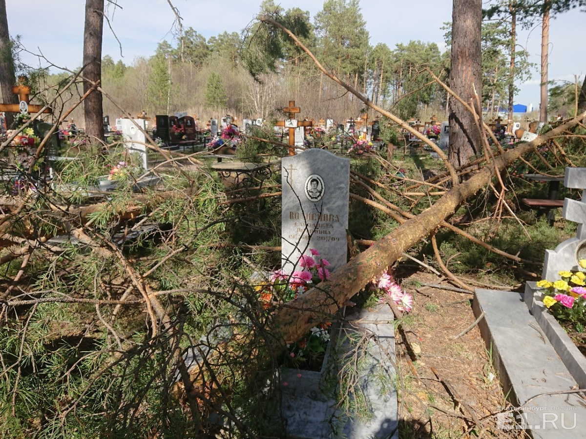 На кладбище в Горном Щите ветер повалил деревья на могилы. Сколько надгробий пострадало, пока неизвестно