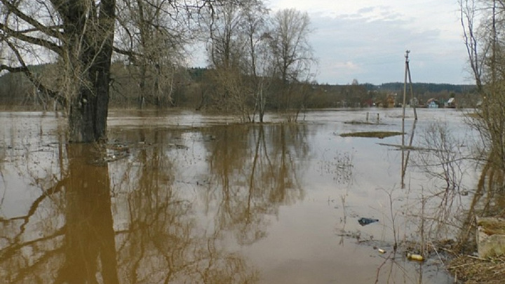В Пермском районе из-за паводка подтопило пятьдесят придомовых территорий