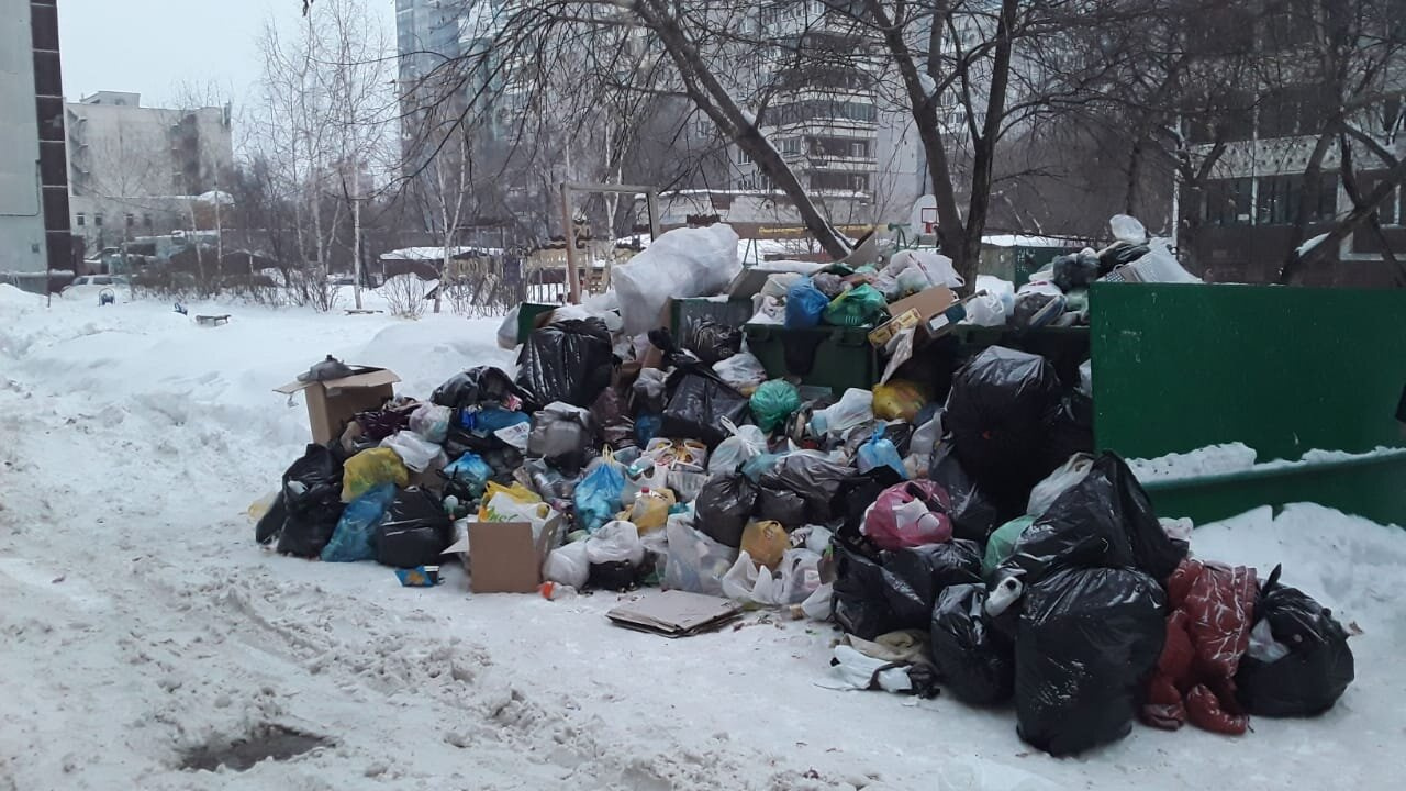 Что произошло в куче. Двор Новосибирска мусорки.