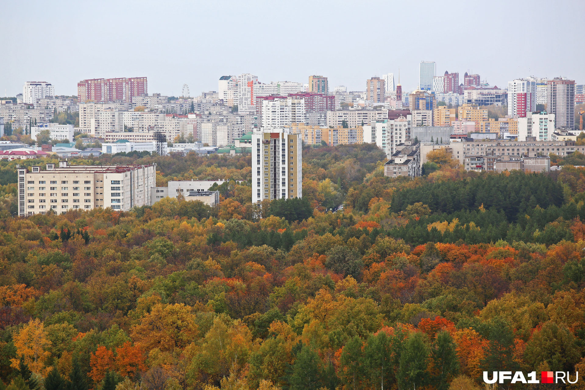 Уфа лес. Зеленая роща Уфа район. Уфа зеленая роща сверху. Зеленая роща лес Уфа. Вид на зеленую рощу Уфа.