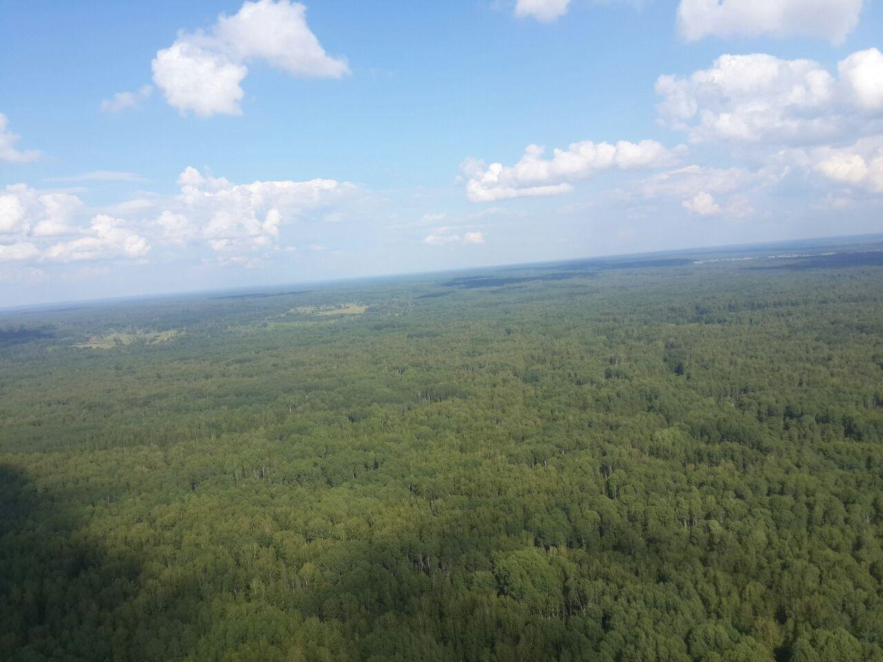 В районе поисков тайга стоит стеной