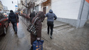 На Дону самозанятые, решившие «легализоваться», пополнили бюджет на 4 миллиарда рублей