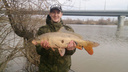 «Жалко красавца»: новосибирец выловил огромного сазана в реке у Бугринского моста