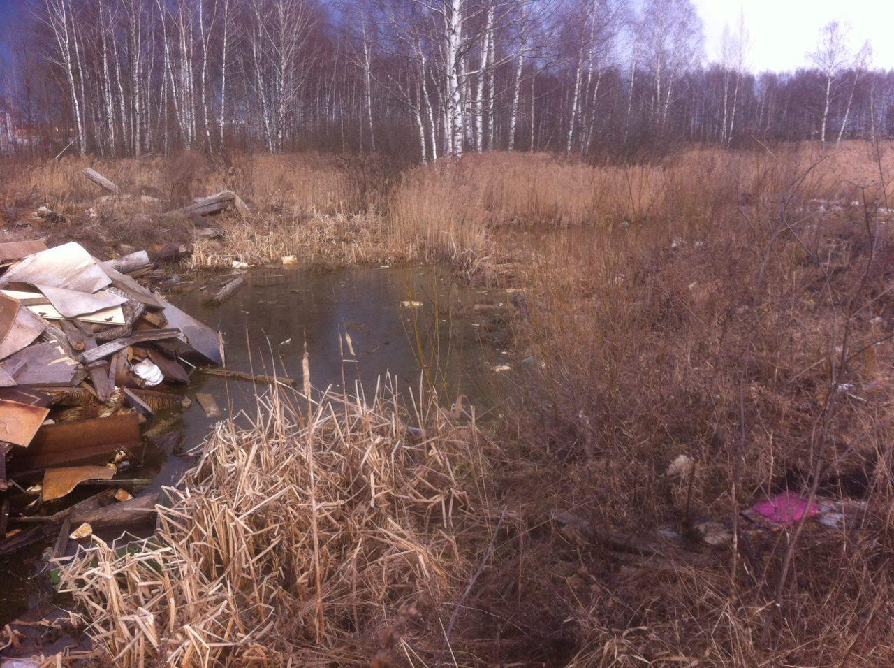 Мусор находится прямо в воде. Мусор находится прямо в воде.
