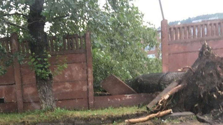 Тополя обрушили забор и завалили остановку во время ливня