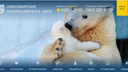 Новосибирский зоопарк запустил новый сайт за 750 тысяч
