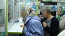 Шесть человек на место: какую работу предлагают пенсионерам в Челябинске