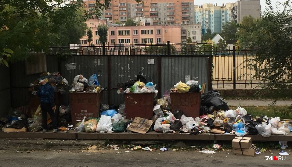 На мусорках пируют крысы На мусорках пируют крысы