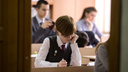 В новосибирской школе отменили третью смену после публикации НГС
