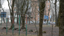 В Ростове из рощи на проспекте Шолохова сделают парк