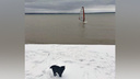 «Падать было нельзя»: новосибирец устроил заезд по ледяному Обскому морю на доске под парусом