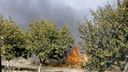 Огненный август: в Ростове в районе Змиевской балки вспыхнул ландшафтный пожар