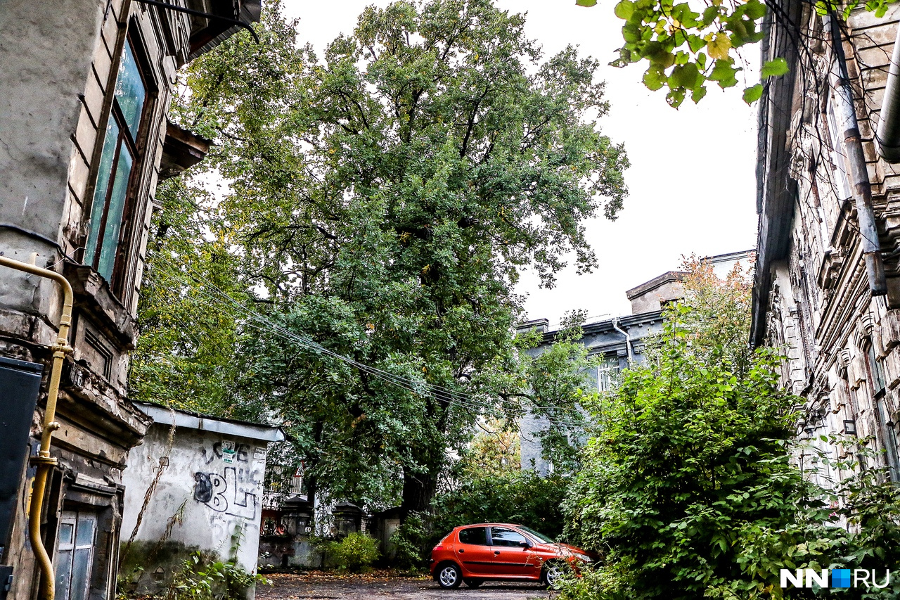 Дом пил. Дом пила в Нижнем Новгороде. Сызрань дерево Старожил. Дом - пила 1996 Нижний Новгород. Жилой дом «пила» на улице славянской,.