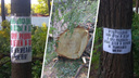 «Кто это допустил?»: депутат возмутился варварской обрезкой деревьев в ростовском парке
