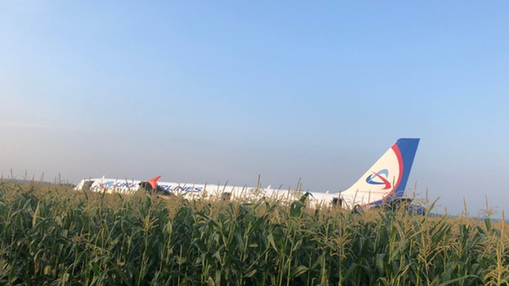 Двигатели гудели, люди кричали: видео аварийной посадки самолета в кукурузном поле