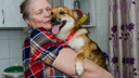 Жорик снова дома: пёс, которого забрали у пожилой сибирячки, вернулся к хозяйке