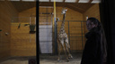 Брошенная мамой жирафиха Радуга из Красноярска стала звездой нижегородского зоопарка