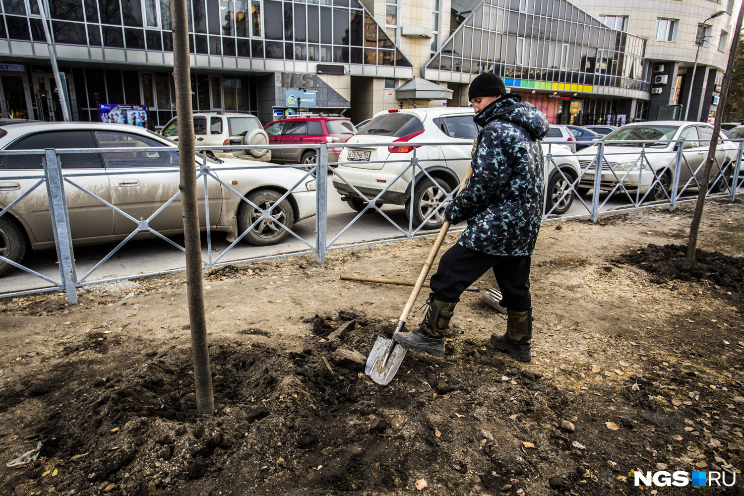 Раньше на Ядринцевской росли аварийные клёны, которые спилили в середине октября