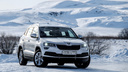 Избегайте грязи: тестируем SKODA Karoq российской сборки в день начала продаж