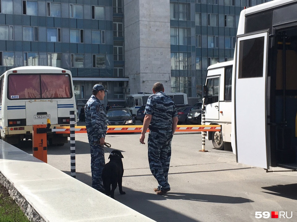 Готовится даже собака Готовится даже собака