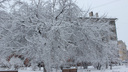 Завалит по пояс: в Новосибирск идут мощные снегопады и метели