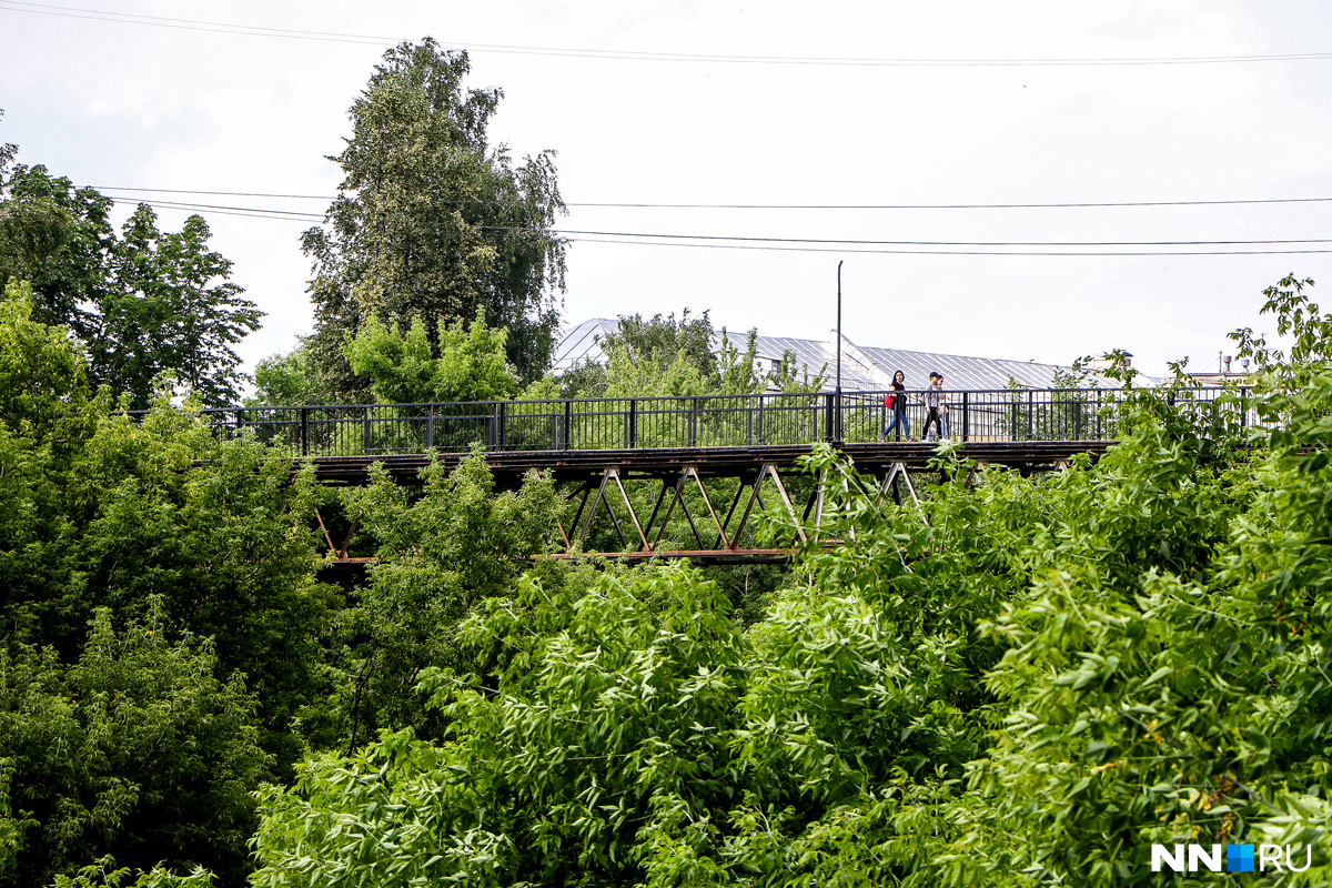 Нижегородцы с моста любуются красотой только тронутой топором зелени Нижегородцы с моста любуются красотой только тронутой топором зелени