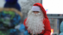 Праздник к нам приходит: в ростовском зоопарке открывается резиденция Деда Мороза
