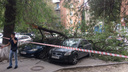 В центре Ростова рухнувшая из-за ветра ветка разбила три машины