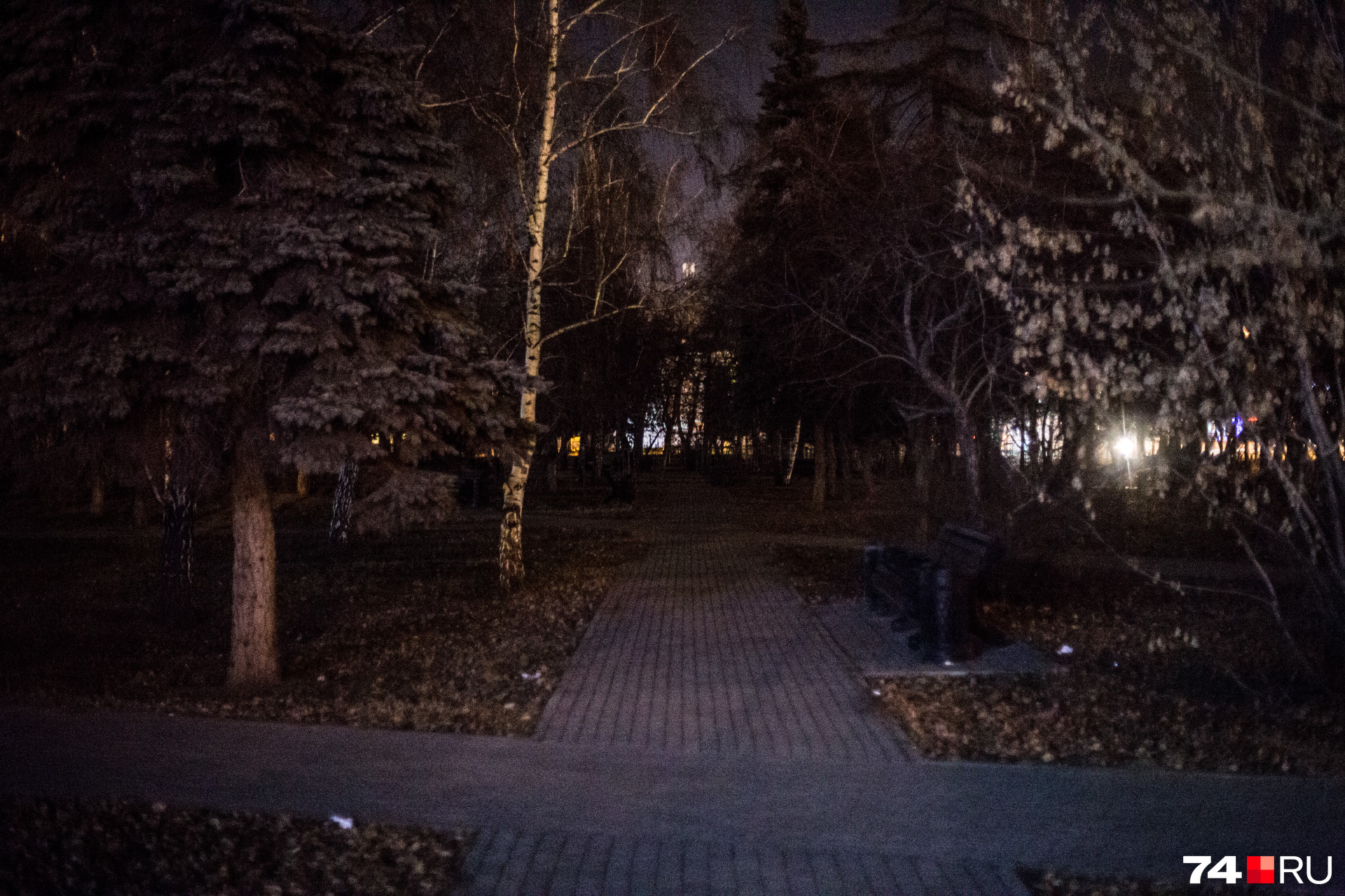 Это не дремучий лес. Это недавно обновлённый сквер на улице Кирова, но на фонари у властей копеечки не нашлось