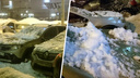 «Минус пара машин»: с крыши дома напротив «Вертикали» сошла снежная лавина