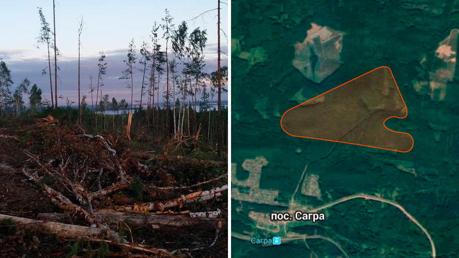 Все ради щебня: на Урале вырубили лес, защищавший древнейшие каменные палатки