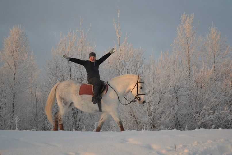 Прогулка на лошадях по сказочному зимнему лесу — это очень романтично