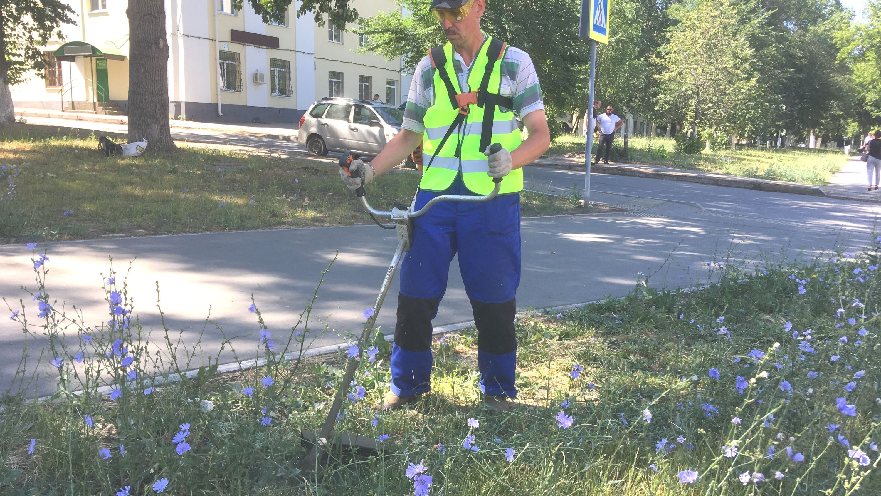 Иду самара. Куда позвонить чтобы покосили траву на улице.