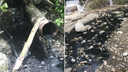 «Пятно стоит вдоль берега»: в Самаре сбросили мазут в ливневую канализацию