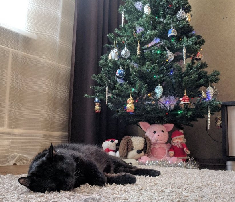 Кот Чибик отдыхает у ёлочки Кот Чибик отдыхает у ёлочки