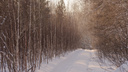 «Шёл по следам от снегоходов»: мужчина пропал под Новосибирском