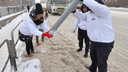 «Есть нельзя, мягко говоря»: эксперты забраковали соль с челябинских дорог