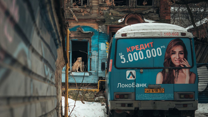 Фото дня. Двор в центре Нижнего Новгорода: бродячий пёс, покинутый дом и брошенная маршрутка