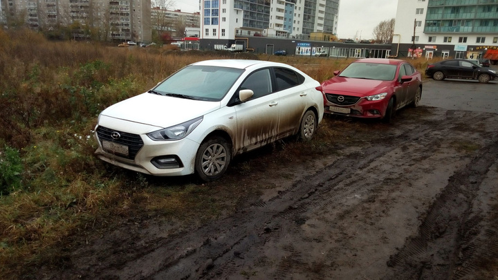 Свердловские депутаты отложили на потом решение проблемы гряземесов