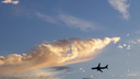 Летевший в Новосибирск самолет вернулся в «Пулково» из-за болезни пассажира