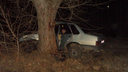 Водитель погиб мгновенно: в Ярославской области легковушка протаранила дерево
