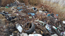 «Живем в постоянном зловонии»: жители станицы под Новочеркасском пожаловались на помойку у домов