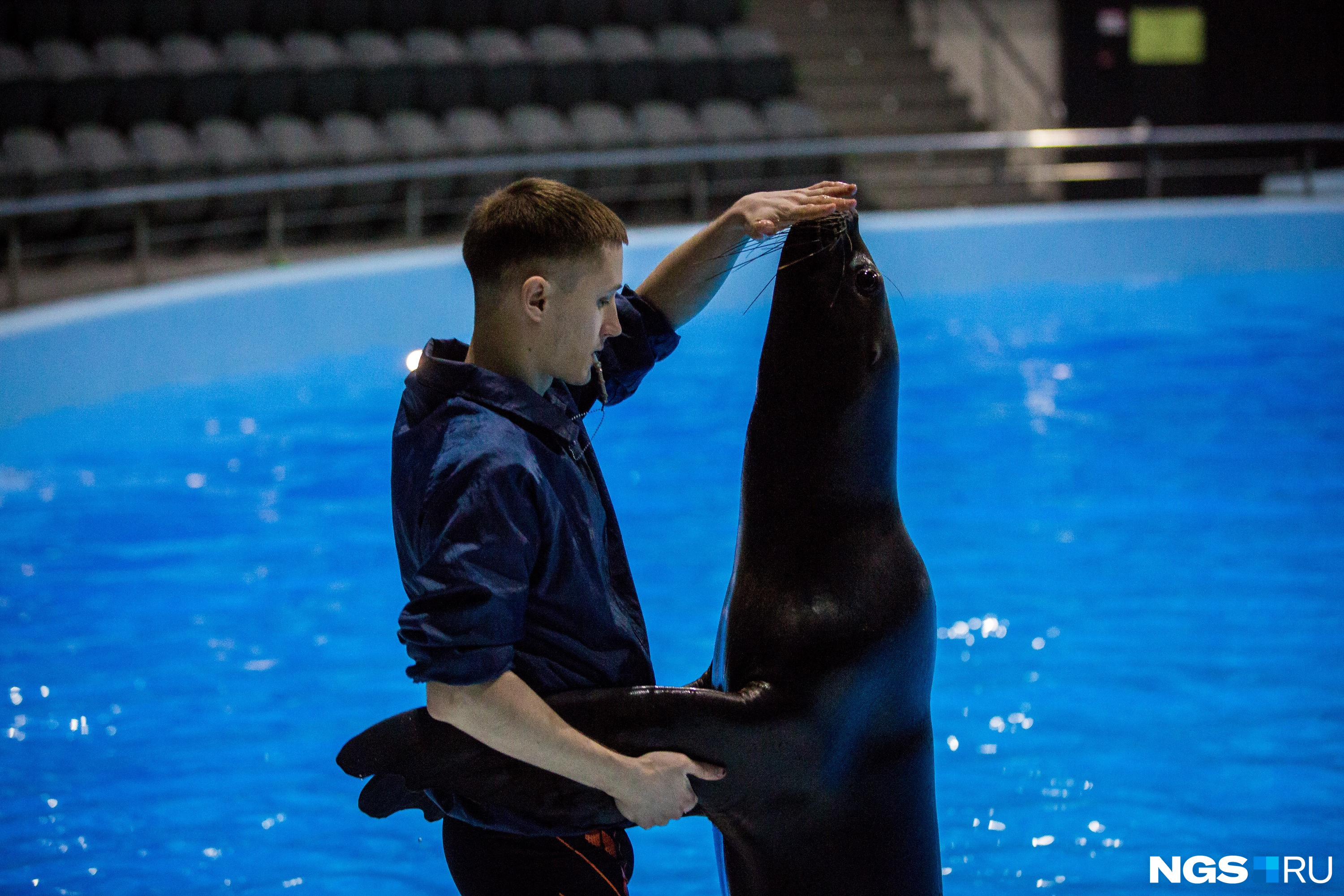 Бывший видеограф Клим Харламов учит танцевать морскую львицу Мэри