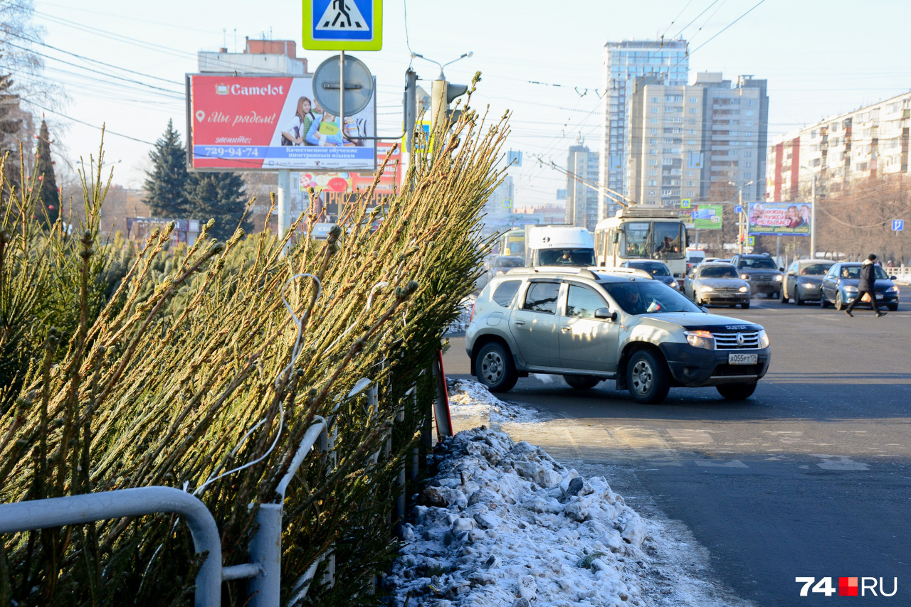 Пример легального ёлочного базара на пересечении Комсомольского и Молдавской: обзор перекрыт капитально