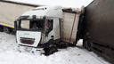 Фуры снесло в кювет: на заснеженной трассе в Самарской области разбились грузовики