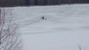 В Ярославле спасатели пристыдили двух мам, вышедших на тонкий лёд вместе с детьми
