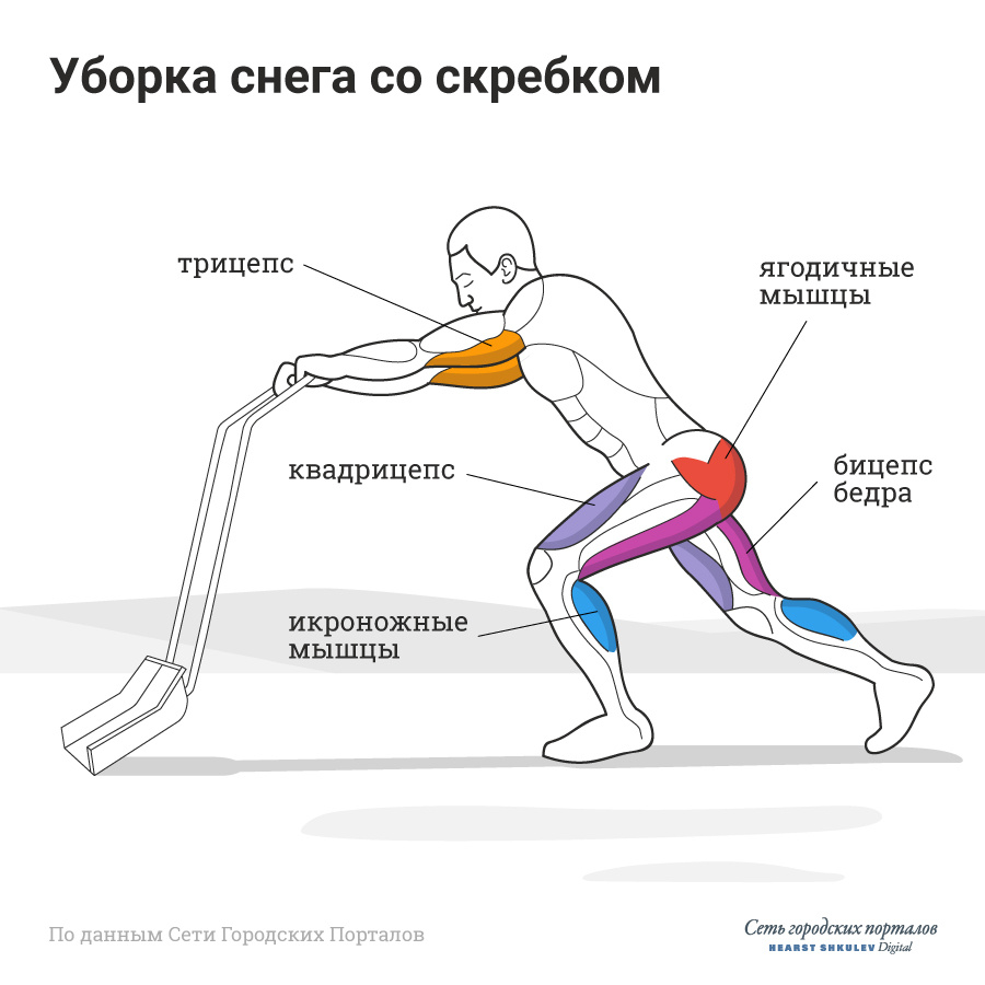 Фитнес зимой на улице: на какие мышцы можно работать, варианты упражнений с  лопатой - 21 декабря 2019 - 45.ru