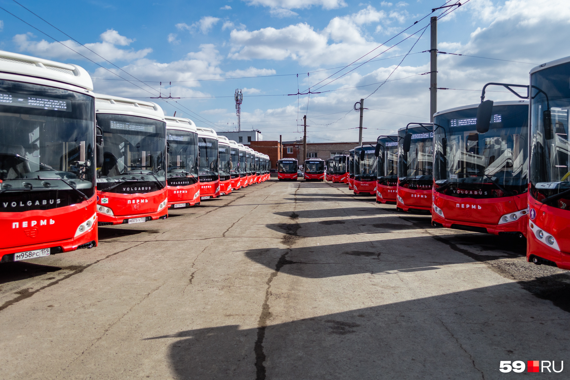Сейчас в Перми около сотни новых автобусов